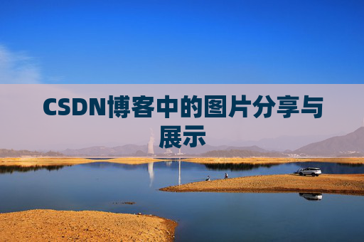 CSDN博客中的图片分享与展示